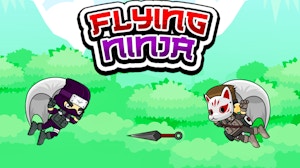 Image for Flying Ninja