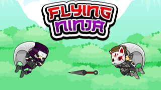 Flying Ninja game cover
