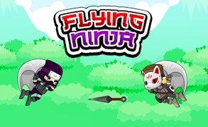 Flying Ninja