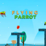Flying Parrot