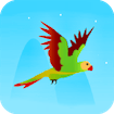 Flying Parrot banner