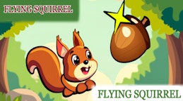Flying Squirrel