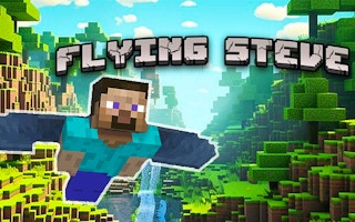 Flying Steve game cover