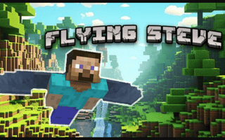Flying Steve game cover