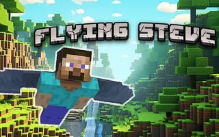 Flying Steve game cover