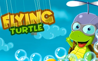 Flying Turtle game cover