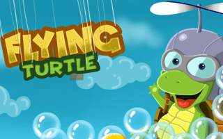 Flying Turtle game cover