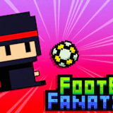 Footbag Fanatic