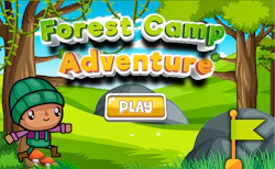 Forest Camp