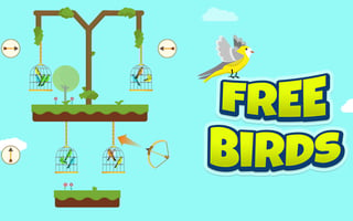 Free Birds game cover