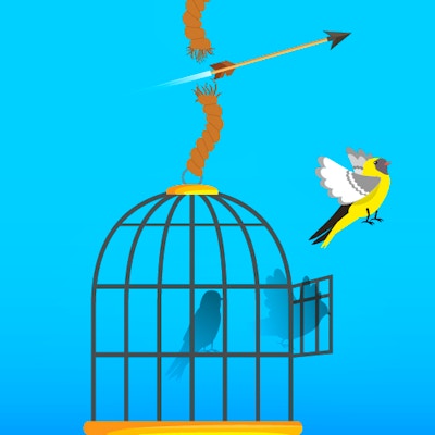 Free Birds By Gamepix