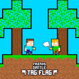 Friends Battle Tag Flag