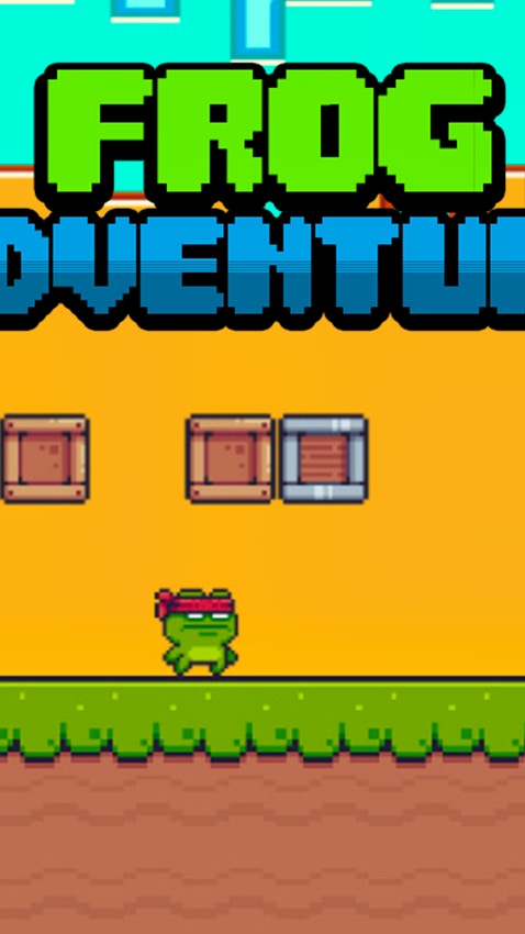 Ninja Frog Adventure