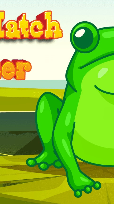 Frog Match Master