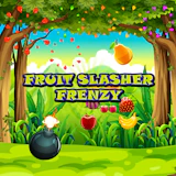 Fruit Slasher Frenzy