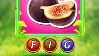 Fruit Surprise game cover