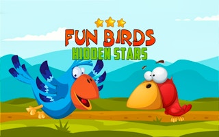 Fun Birds Hidden Stars game cover