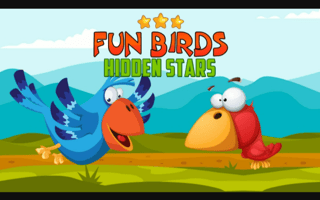 Fun Birds Hidden Stars game cover