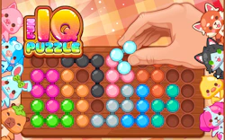 Fun IQ Puzzle