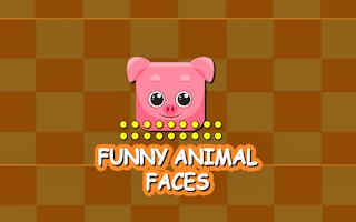 Funny Animal Faces