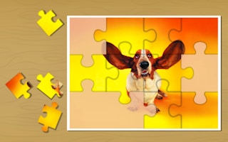 Funny Cats And Dogs Jigsaw Puzzle