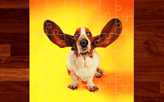 Funny Dogs Jigsaw Puzzles game cover