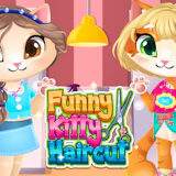 Funny Kitty Haircut