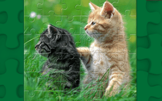 Funny Kitty Puzzle
