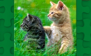 Funny Kitty Puzzle