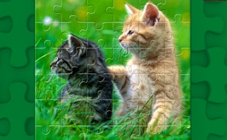 Funny Kitty Puzzle game cover