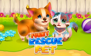 Funny Rescue Pet game cover