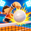 Funny Volleyball