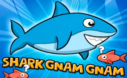 Gnam Gnam Shark