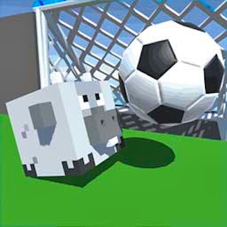 Goal IO Cover