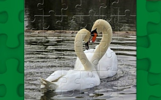 Graceful Swans Puzzle