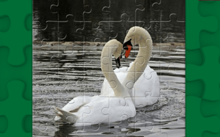 Graceful Swans Puzzle game cover