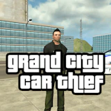 Grand City Car Thief