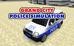 Grand City Police Simulation
