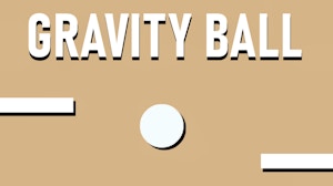 Image for Gravity Ball