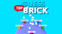 Guess Top Brick
