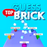 Guess Top Brick