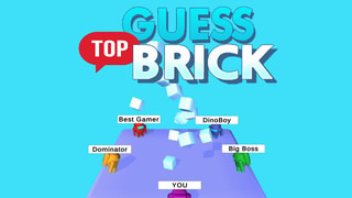 Guess Top Brick