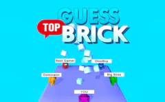 Guess Top Brick