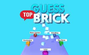Guess Top Brick