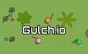 Gulch.io