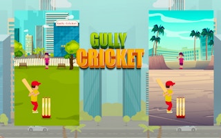 Gully Cricket