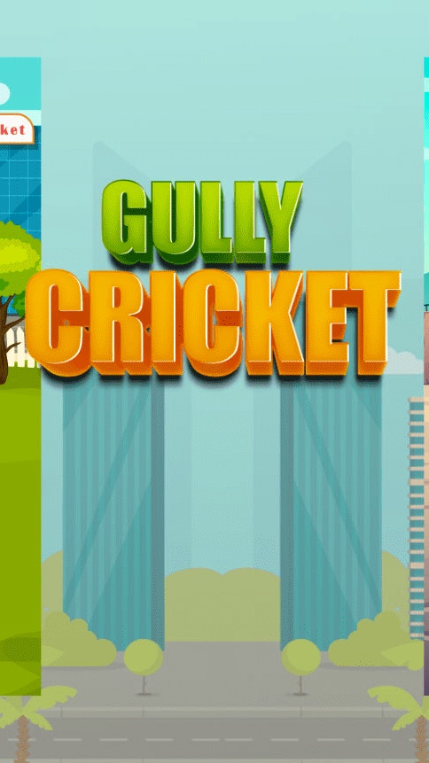 Gully Cricket