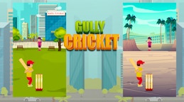 Gully Cricket