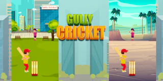 Gully Cricket thumbnail