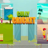 Gully Cricket